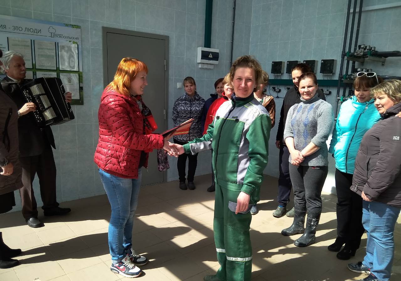 Городок наш животновод.jpg