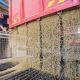 Полоцкий комбинат хлебопродуктов втрое увеличит объем заготовки продовольственного зерна в счет госзаказа